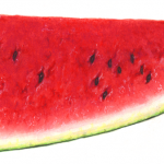 Watermelon cut half wedge with a horizontal view