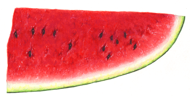 Watermelon cut half wedge with a horizontal view