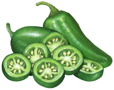 Jalapeno peppers with one whole jalapeno, a cut pepper and five jalapeno slices.