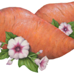Two whole sweet potatoes with pink flowers and leaves.