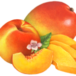 One whole peach and slice with A whole mango and three slices with a peach flower and leaf.