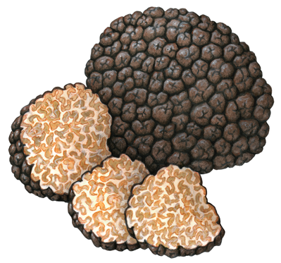 One whole truffle with three truffle slices.