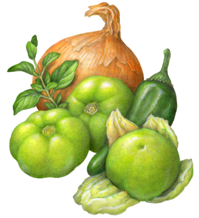 Vegetable ingredients for carnitas, including three tomatillos, an onion, oregano and jalapeno pepper.