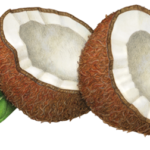 Two coconut cut halves with leaves.