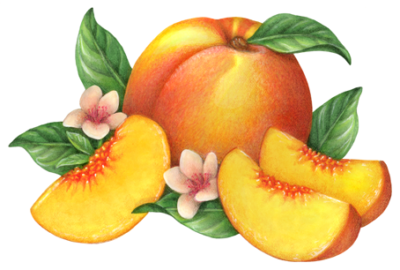 One whole peach with three cut peach slices, two peach flower blossoms and leaves.