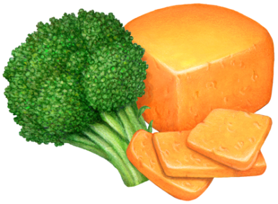 Stalk of broccoli with a wedge of cheddar cheese and three cut cheese slices.