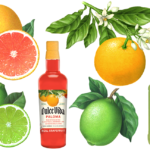 Grapefruit and lime illustrations.