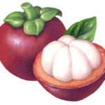 One whole mangosteen with a cut half mangosteen and a leaf.
