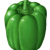 Peppers Illustrations Available for Stock Use