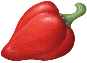 Red pimento pepper.