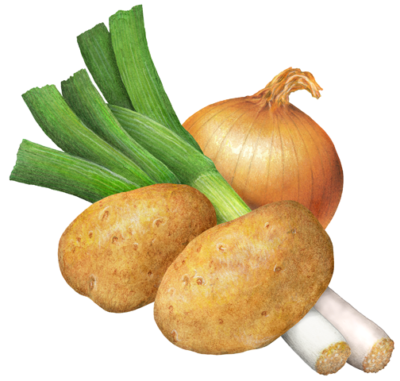 Two potatoes, two leeks and an onion.