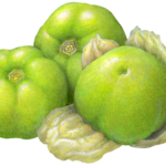 Three tomatillos.