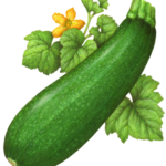 Zucchini squash with a flower and leaves.