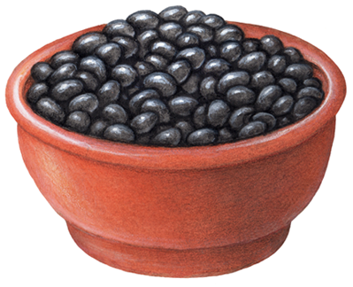 Terra cotta bowl with black beans.