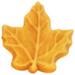 Maple sugar candy in the shape of a maple leaf.