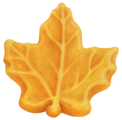 Maple sugar candy in the shape of a maple leaf.