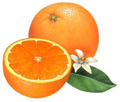 One whole orange and a cut half with an orange flower and leaf. lf