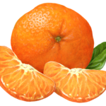Mandarin orange, tangerine, or clementine with pealed segments.