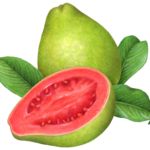 Whole guava with a cut guava half and leaves.