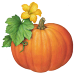 One whole pumpkin with its yellow flower and leaves.