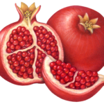 Whole pomegranate with a pomegranate cut half and cut section.