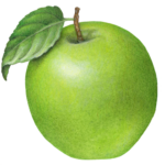 One green apple with a leaf.