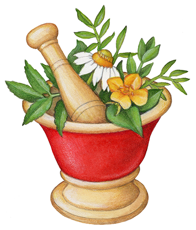 Mortar and pestle with fresh herbs.