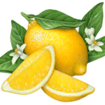 One whole lemon with two cut lemon wedges, flower blossoms and leaves.