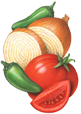 Salsa Ingredients: tomato, onion, jalapeno pepper