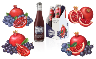 Exotic fruit illustrations of pomegranate, acai berries, and blueberries used for packaging.