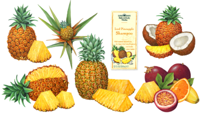 Illustrations of pineapple, passion fruit, coconut, orange, and banana.