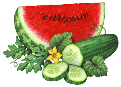 Watermelon slice with a cut cucumber and two cucumber slices.