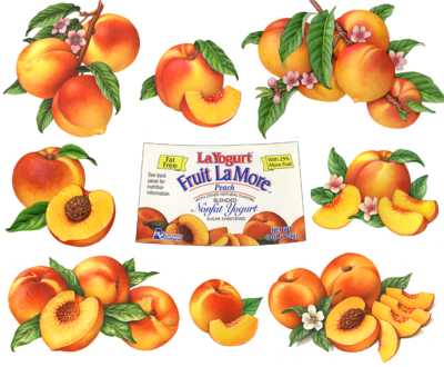Peach illustrations used for packaging.