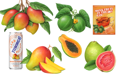 Tropical fruit paintings of mango, papaya, monk fruit, and guava.