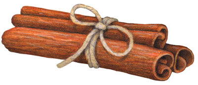 tied bundle of cinnamon sticks.