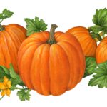 Four pumpkins in a pumpkin patch with leaves and flowers.