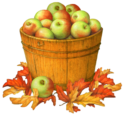 Bushel basket of McIntosh apples with red and yellow fall leaves.