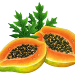 Two cut papaya halves with two papaya leaves.