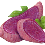 Cut purple sweet potatoes with two leaves.