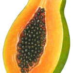 Cut half of a papaya.