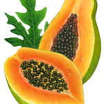 Two cut papaya halves with water droplets and a leaf.