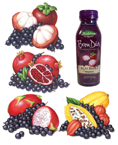 Tropical fruit illustrations of cacao, mangosteen, dragonfruit, and pomegranate used on packaging for Bolthouse Farms.