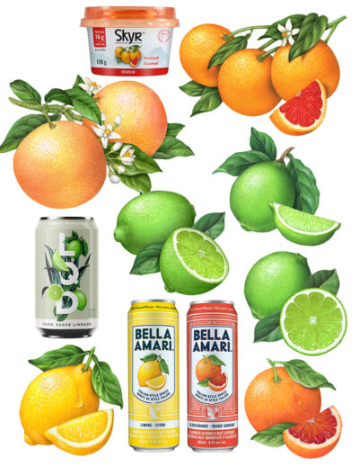 Lime, grapefruit, and blood orange illustrations used for packaging.