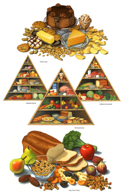 FDA food pyramid, phytofood pyramid, and California diet food pyramid, fatty foods, and high-fiber foods.