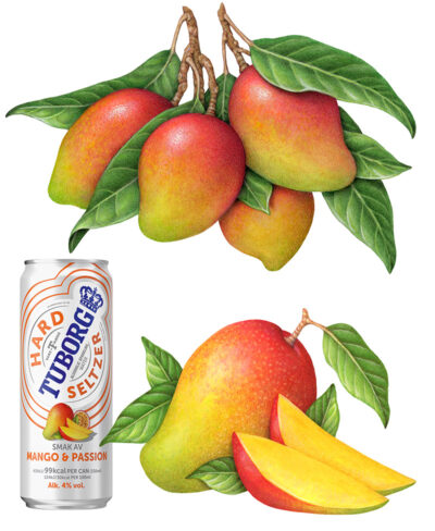 Mango illustrations used for packaging.