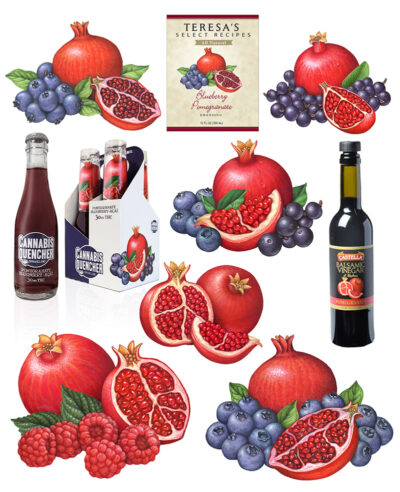 Exotic fruit illustrations of pomegranate, acai berries, and blueberries used for packaging.