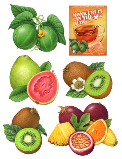 Watercolor illustrations of monk fruit, passion fruit, kiwi, guava, pineapple, banana, and orange used for packaging.