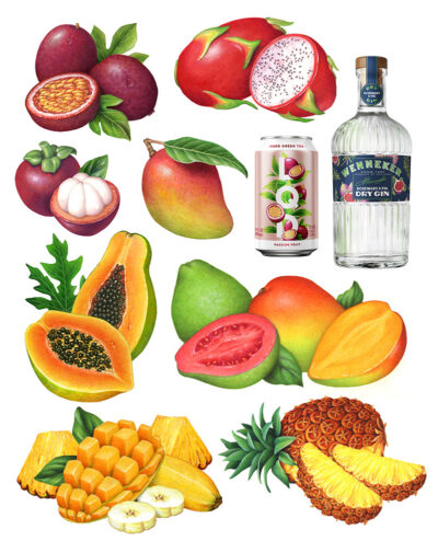 Tropical fruit illustrations including mango, dragon fruit, papaya, passion fruit, guava, mangosteen, fig, pineapple, and banana used for packing.