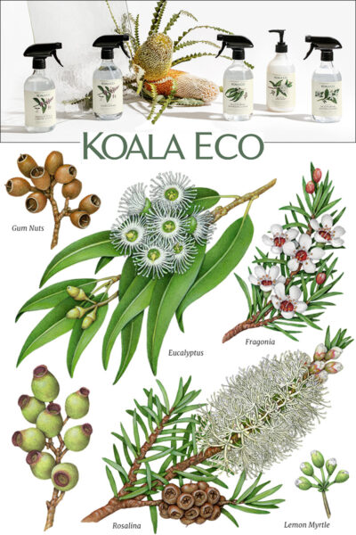 Illustrations of various Australian medicinal plants including eucalyptus, tea tree, fragonia, rosalina, and lemon myrtle.