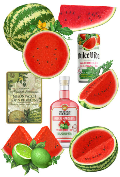 Watermelon illustrations used for packaging.